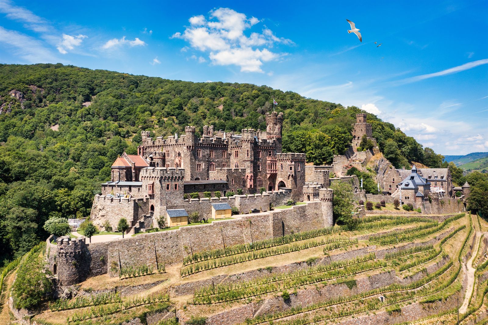 Reichenstein Castle above vineyards on the Middle Rhine, part of some of the best family river cruises